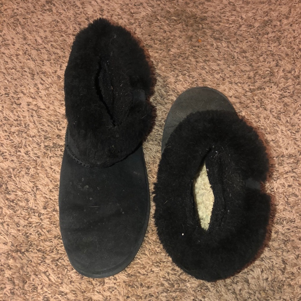 black bearpaws
